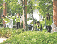 Organizing “Eco Cleaners” cleanup activities